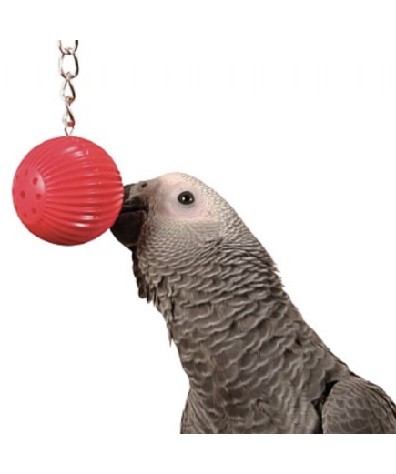 Birdy Babble Ball - Interactive Parrot Toy